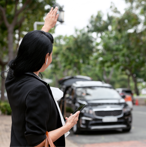 Best Fairfield limo wine tours services